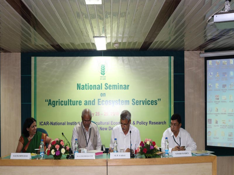 Agriculture and Ecosystem Services