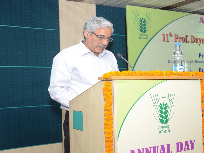 NIAP Annual day (May 2, 2018)