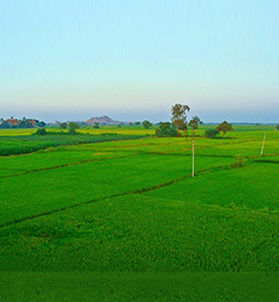 Land Reforms Land Reforms