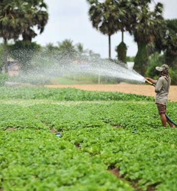 Irrigation