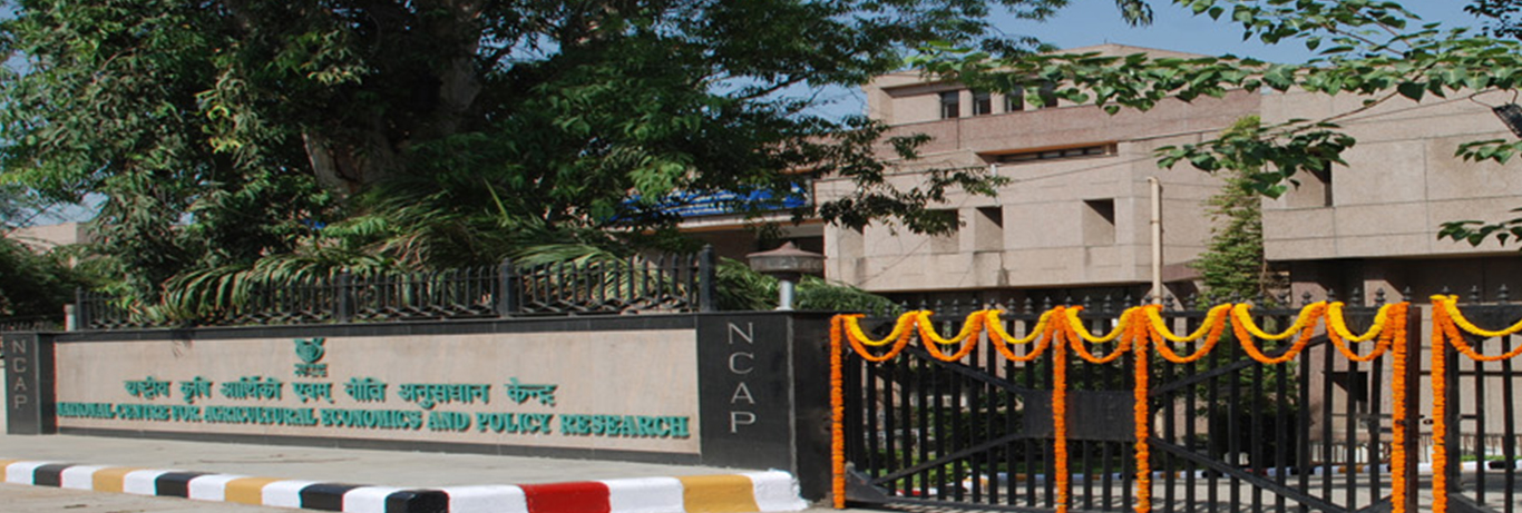 NCAP Office Gate